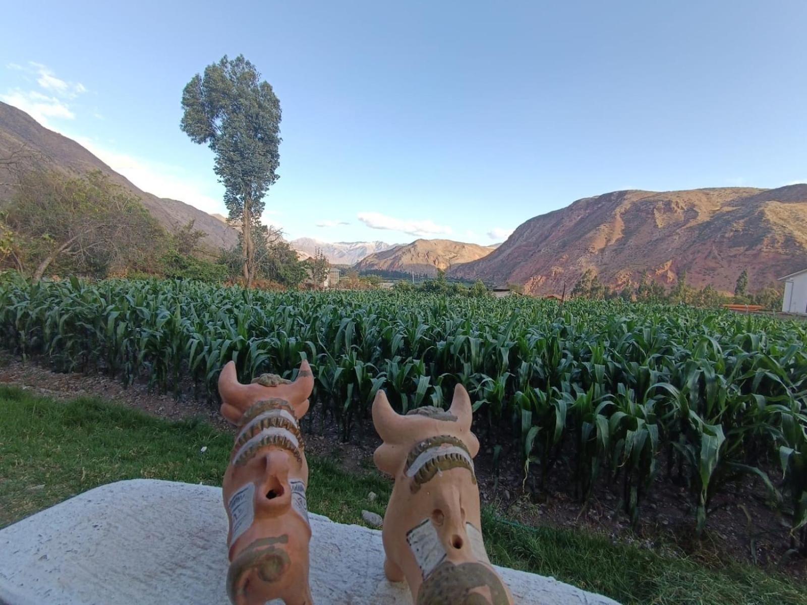 Casa Yanahuara Valle Sagrado - Urubamba Eksteriør bilde